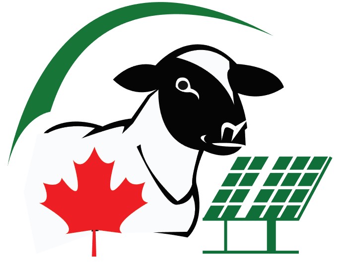 CDSAFI Logo